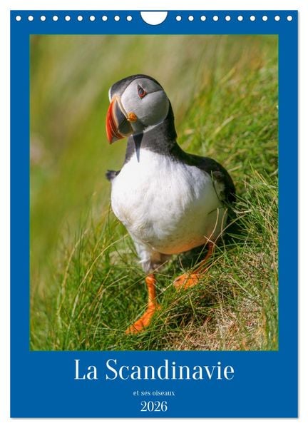 Produktbild: La Scandinavie et ses oiseaux (Calendrier mural 2026 DIN A4 horizontal), CALVENDO calendrier mensuel