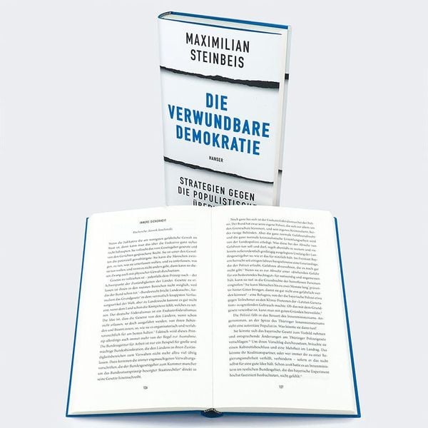 Produktbild: Die verwundbare Demokratie