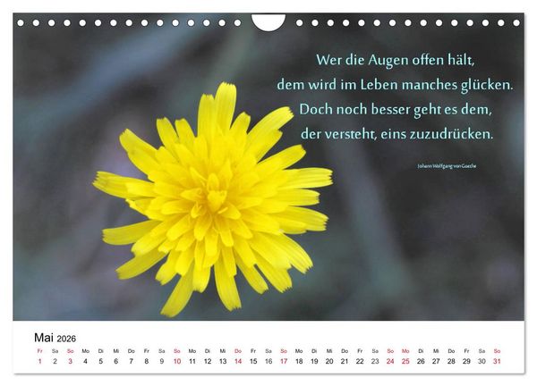Produktbild: Lebensweisheiten 2026 (Wandkalender 2026 DIN A4 quer), CALVENDO Monatskalender