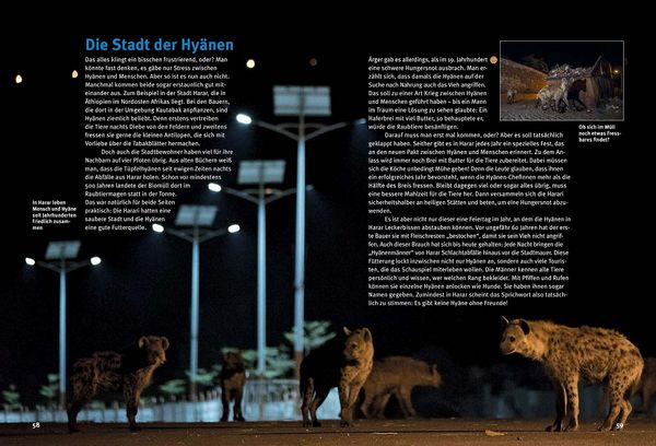 Produktbild: Entdecke die Hy&auml;nen