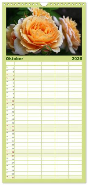 Produktbild: Familienplaner 2026 - Rosen Reigen im Garten mit 5 Spalten (Wandkalender, 21 x 45 cm) CALVENDO