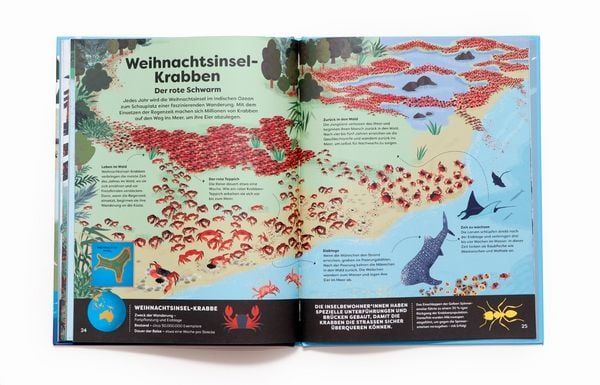 Produktbild: Tiere in deiner Umgebung