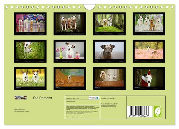 Produktbild: Die Parsons (Wandkalender 2026 DIN A4 quer), CALVENDO Monatskalender