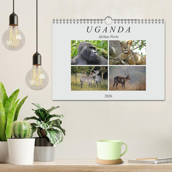 Produktbild: Afrikas Perle Uganda (Wandkalender 2026 DIN A4 quer), CALVENDO Monatskalender