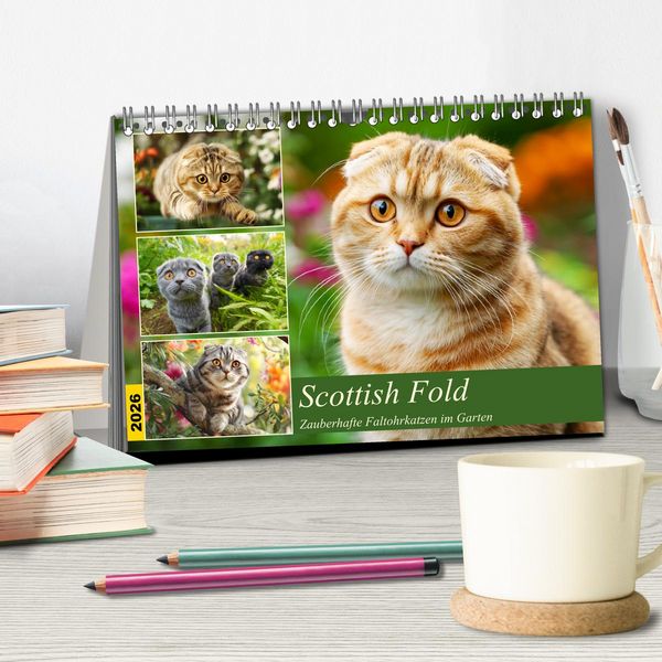 Produktbild: Scottish Fold. Zauberhafte Faltohrkatzen im Garten (Tischkalender 2026 DIN A5 quer), CALVENDO Monatskalender