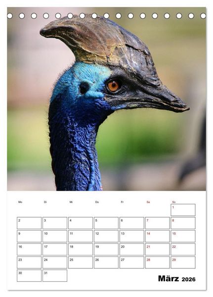 Produktbild: Australiens faszinierende Tierwelt (Tischkalender 2026 DIN A5 hoch), CALVENDO Monatskalender