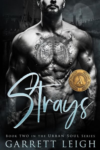 Produktbild: Strays (Urban Soul, #2)