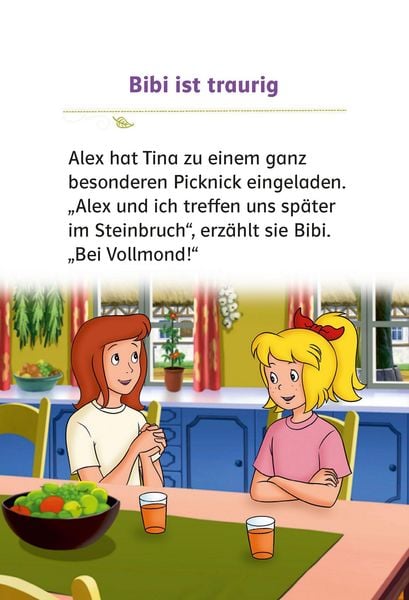 Produktbild: Bibi & Tina: Picknick bei Vollmond