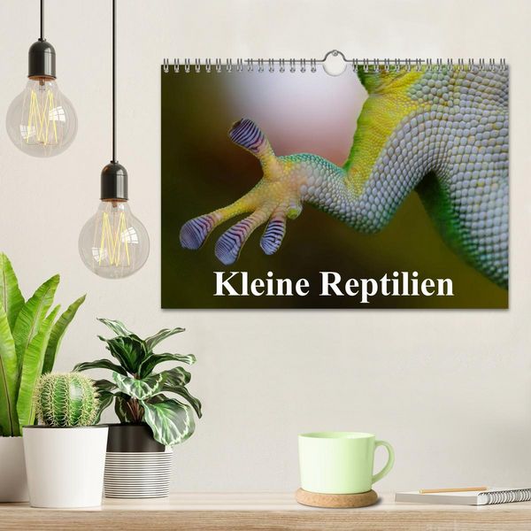 Produktbild: Kleine Reptilien (Wandkalender 2026 DIN A4 quer), CALVENDO Monatskalender
