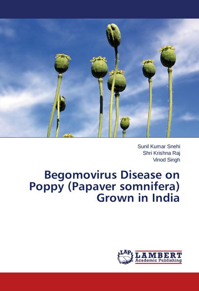 Produktbild: Begomovirus Disease on Poppy (Papaver somnifera) Grown in India