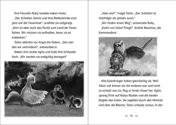 Produktbild: Der letzte Feuerfalke und das magische Ei (Band 13)