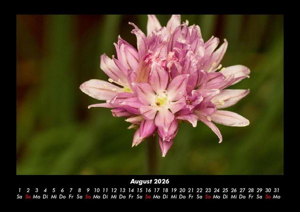 Produktbild: Blumenkalender 2026 Fotokalender DIN A3