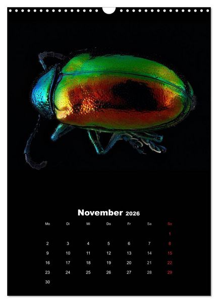 Produktbild: Schillernde Insektenwelt (Wandkalender 2026 DIN A3 hoch), CALVENDO Monatskalender
