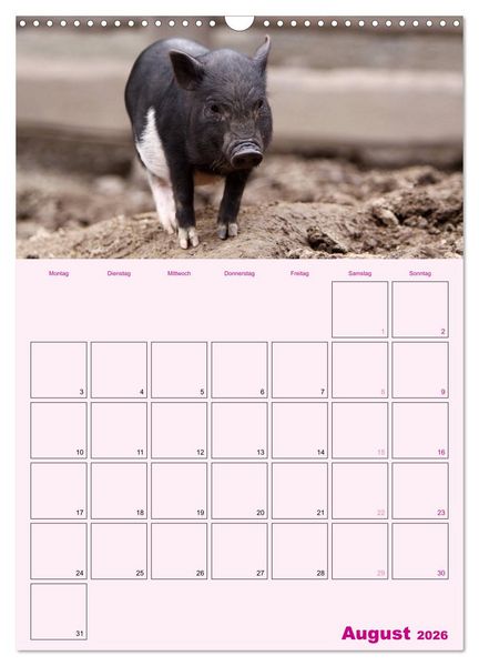 Produktbild: Schweinischer Terminplaner (Wandkalender 2026 DIN A3 hoch), CALVENDO Monatskalender