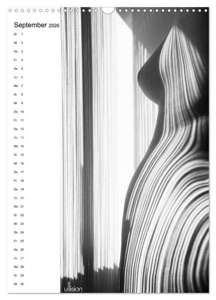 Produktbild: Akt abstrakt (Wandkalender 2026 DIN A3 hoch), CALVENDO Monatskalender