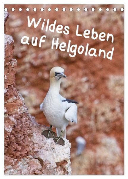 Produktbild: Wildes Leben auf Helgoland (Tischkalender 2026 DIN A5 hoch), CALVENDO Monatskalender