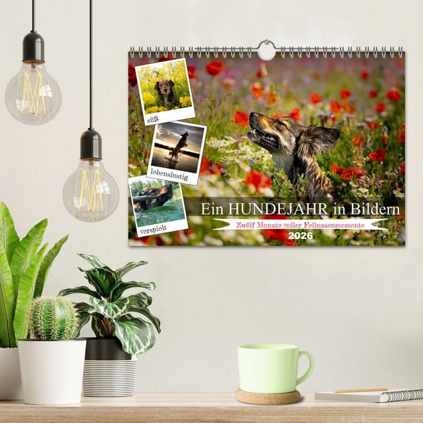 Produktbild: Ein Hundejahr in Bildern (Wandkalender 2026 DIN A4 quer), CALVENDO Monatskalender