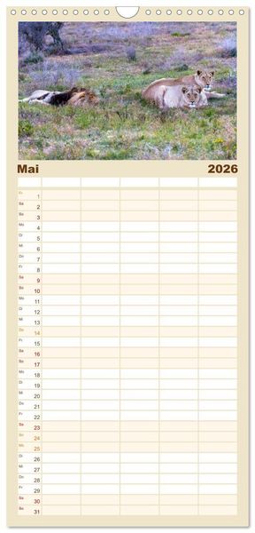 Produktbild: Familienplaner 2026 - S&uuml;dafrika - Garden Route mit 5 Spalten (Wandkalender, 21 x 45 cm) CALVENDO