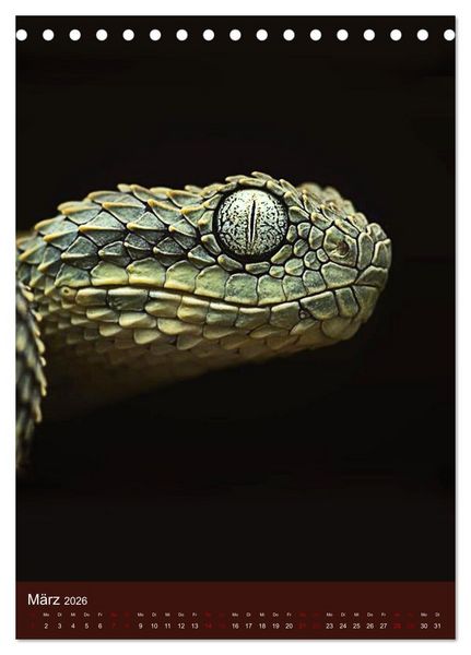 Produktbild: The Power Of Snake (Tischkalender 2026 DIN A5 hoch), CALVENDO Monatskalender