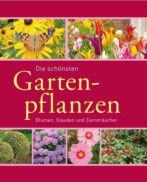 Produktbild: Die sch&ouml;nsten Gartenpflanzen
