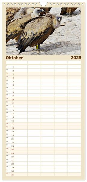 Produktbild: Familienplaner 2026 - Geier - die Gesundheitspolizei! mit 5 Spalten (Wandkalender, 21 x 45 cm) CALVENDO