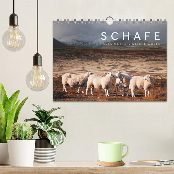 Produktbild: Schafe - Raues Wetter, weiche Wolle (Wandkalender 2026 DIN A4 quer), CALVENDO Monatskalender