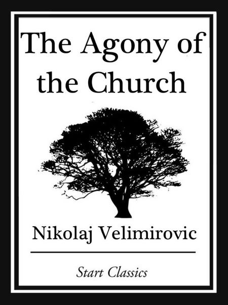 Produktbild: The Agony of the Church