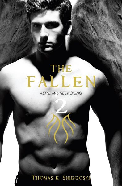 Produktbild: The Fallen 2