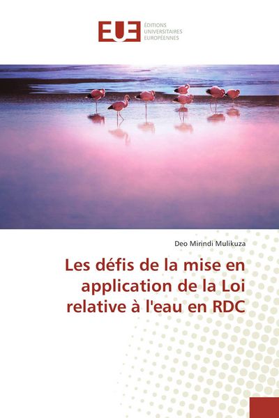 Produktbild: Les d&eacute;fis de la mise en application de la Loi relative &agrave; l'eau en RDC