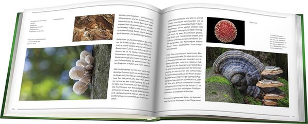 Produktbild: Nationalpark Hunsr&uuml;ck-Hochwald
