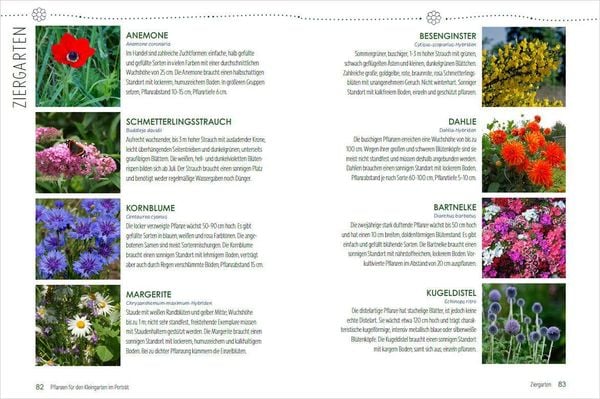 Produktbild: Mein Jahr im Kleingarten. Schrebergarten f&uuml;r Anf&auml;nger