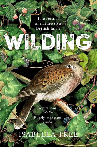 Produktbild: Wilding