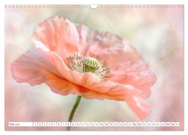Produktbild: Bezaubernde Mohnblumen (Wandkalender 2027 DIN A3 quer), CALVENDO Monatskalender
