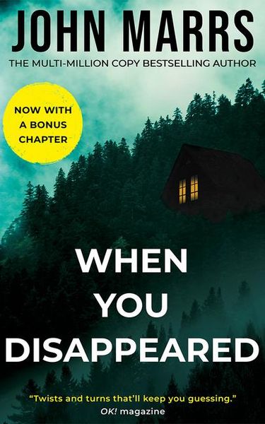Produktbild: When You Disappeared