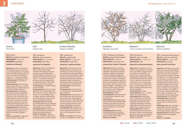 Produktbild: Obstgeh&ouml;lze schneiden