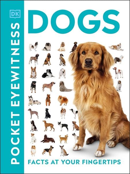 Produktbild: Pocket Eyewitness Dogs
