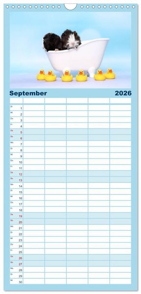 Produktbild: Familienplaner 2026 - Niedliche Meerschweinchen mit 5 Spalten (Wandkalender, 21 x 45 cm) CALVENDO