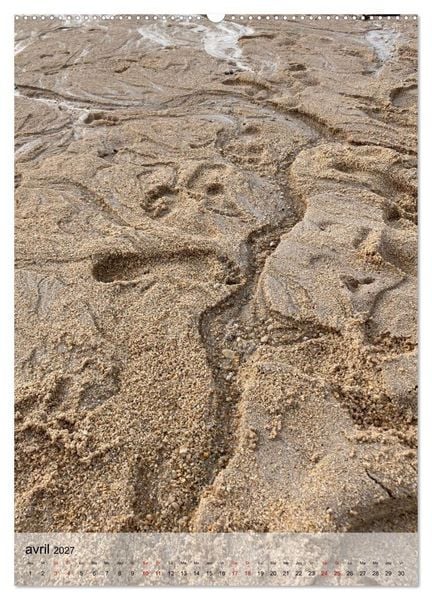 Produktbild: Plages et coquillages (Calendrier mural haut de gamme 2027 DIN A2 horizontal), CALVENDO calendrier mensuel