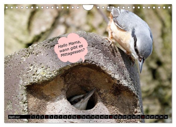 Produktbild: Wenn Tiere sprechen k&ouml;nnten! Der lustige Spr&uuml;che Kalender (Wandkalender 2027 DIN A4 quer), CALVENDO Monatskalender
