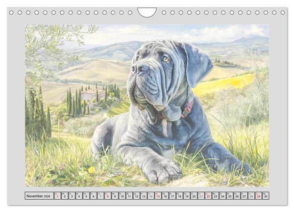 Produktbild: Mastino Napoletano. Die wuchtigen Molosser im Painting-Stil (Wandkalender 2026 DIN A4 quer), CALVENDO Monatskalender