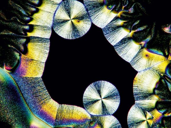 Produktbild: Vitamin C 2 (Puzzle)
