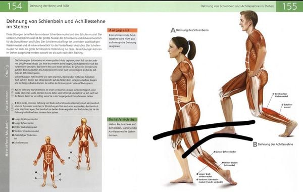 Produktbild: Die Anatomie des Stretchings
