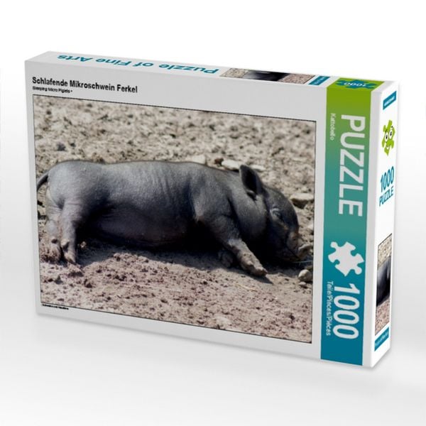 Produktbild: CALVENDO Puzzle Schlafende Mikroschwein Ferkel | 1000 Teile Lege-Gr&ouml;&szlig;e 64x48cm Foto-Puzzle f&uuml;r gl&uuml;ckliche Stunden