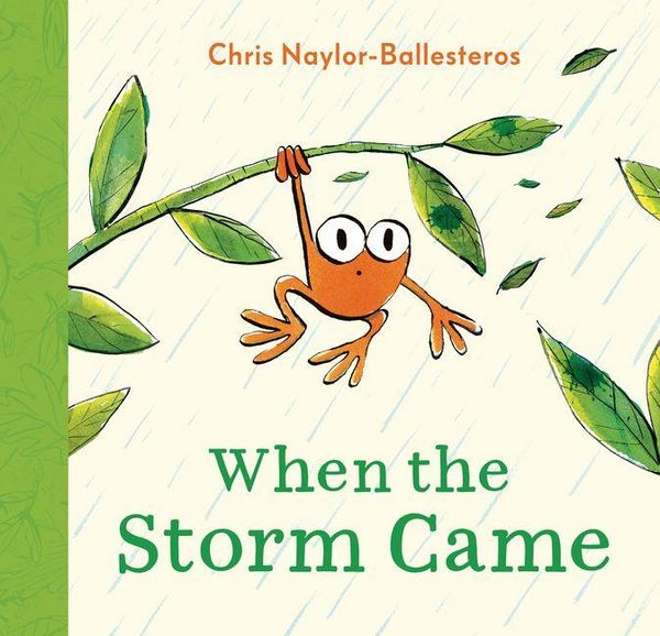 Produktbild: When the Storm Came