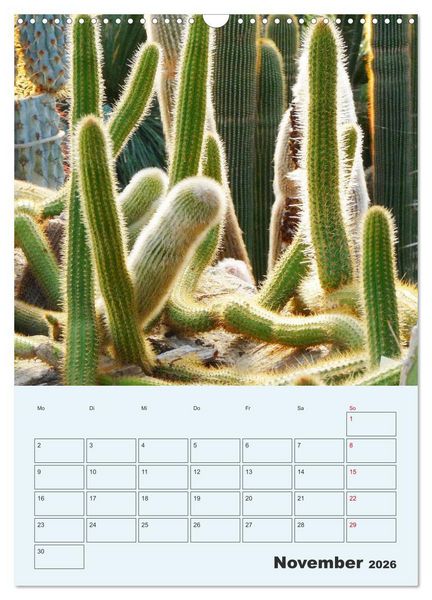 Produktbild: Wehrhafte Sukkulenten (Wandkalender 2026 DIN A3 hoch), CALVENDO Monatskalender