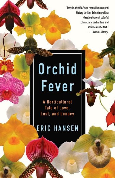 Produktbild: Orchid Fever