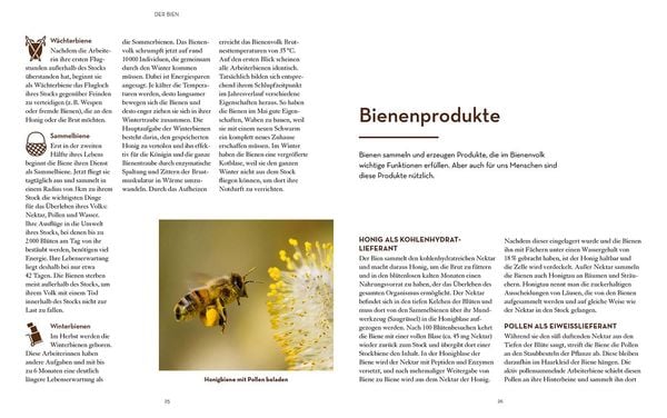 Produktbild: Bienen halten mit der BienenBox