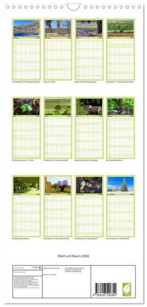 Produktbild: Familienplaner 2026 - Wald und Baum 2026 mit 5 Spalten (Wandkalender, 21 x 45 cm) CALVENDO