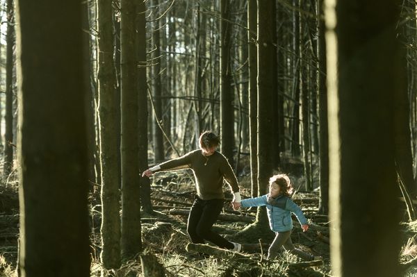 Produktbild: Geborgtes Weiss