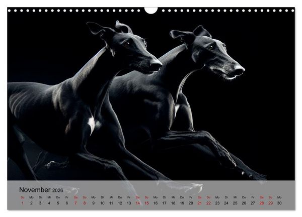 Produktbild: Black is beautiful (Wandkalender 2026 DIN A3 quer), CALVENDO Monatskalender